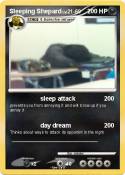 Sleeping Shepar