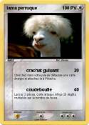 lama perruque