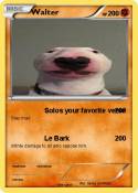 Walter