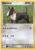 Bull terrier