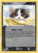 Dew Kitten