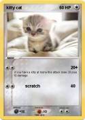 kitty cat