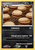 macaron