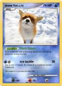 snow fox