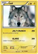 wolf