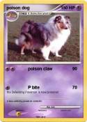 poison dog