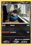evil cat