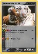 jumeaucalin
