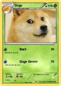 Doge