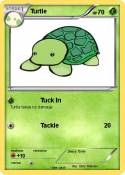 Turtle