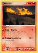 forest fire