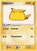 pusheeachu
