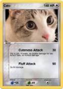 Cato