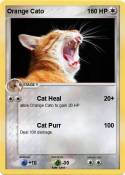 Orange Cato