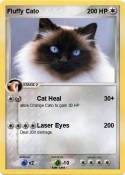 Fluffy Cato