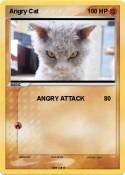 Angry Cat