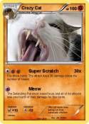 Crazy Cat