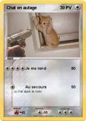Chat en autage