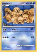 puppy