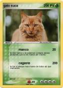 gato suca