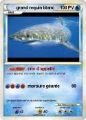 grand requin