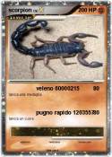 scorpion