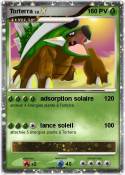 Torterra