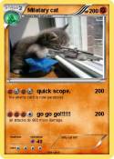 Milatary cat