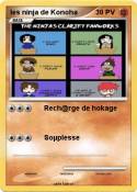 les ninja de