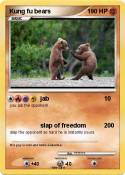 Kung fu bears