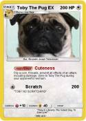 Toby The Pug