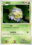 fleure