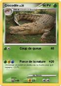 Crocodile