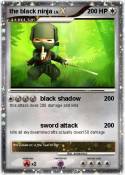 the black ninja