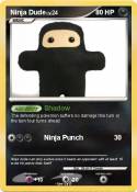 Ninja Dude