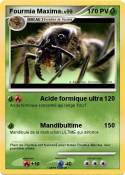 Fourmia Maxima