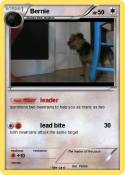 Bernie
