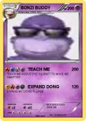 BONZI BUDDY
