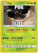 Pug