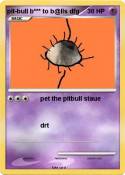 pit-bull b***