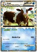 Kuer 10