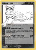 cat man 360