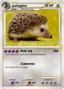 porkypine