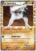 Santa Dog