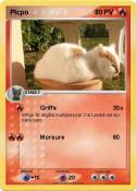 Picpo