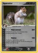 Sguirrelior