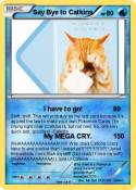 Say Bye to Catk