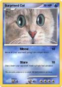Surprised Cat