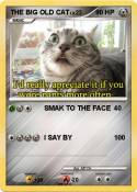 THE BIG OLD CAT