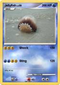 Jellyfish